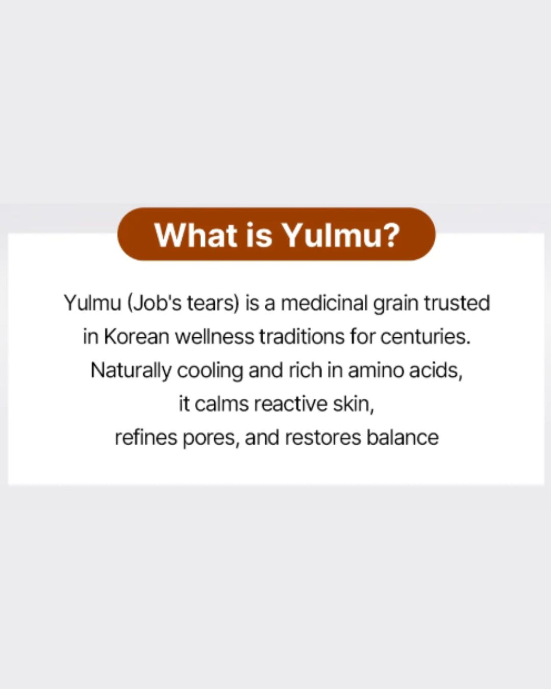 Returnity Yulmu Toner