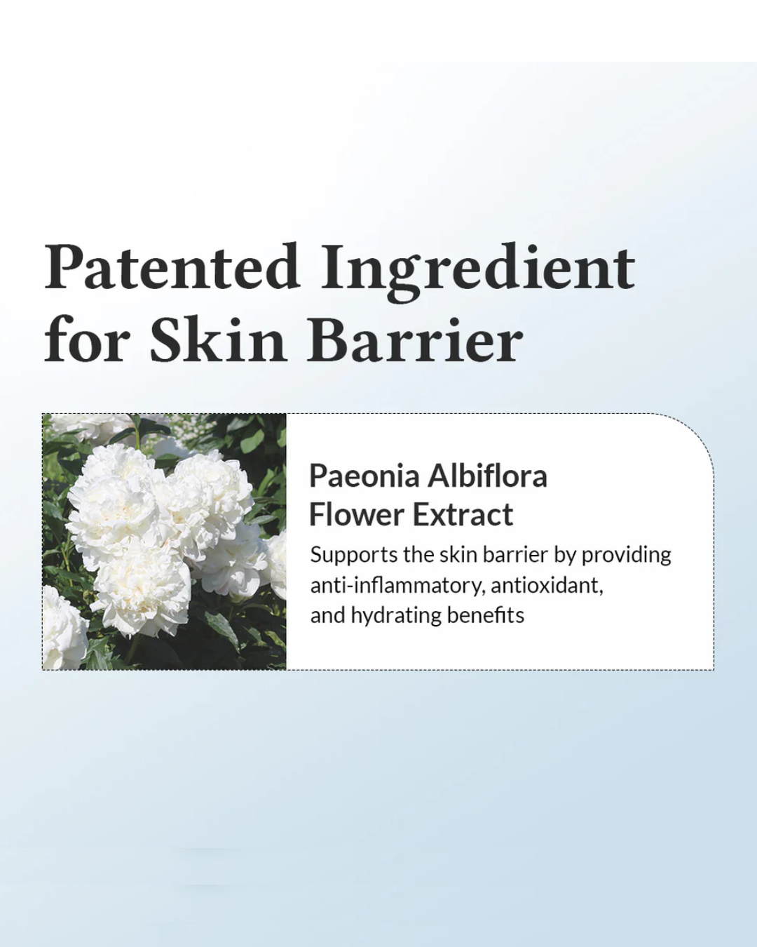 Dr. Althea 147 Barrier Cream