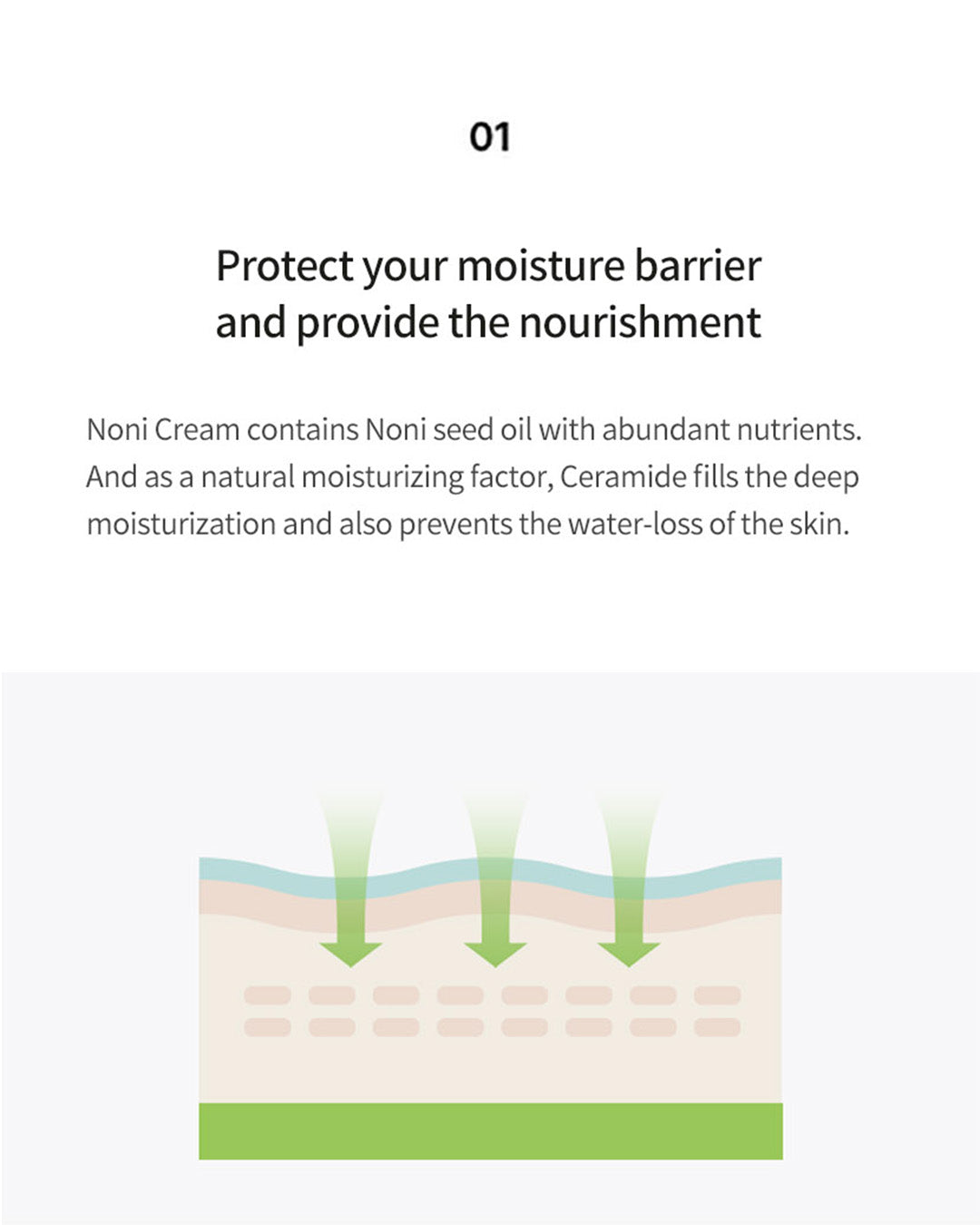 celimax The Real Noni Energy Repair Cream