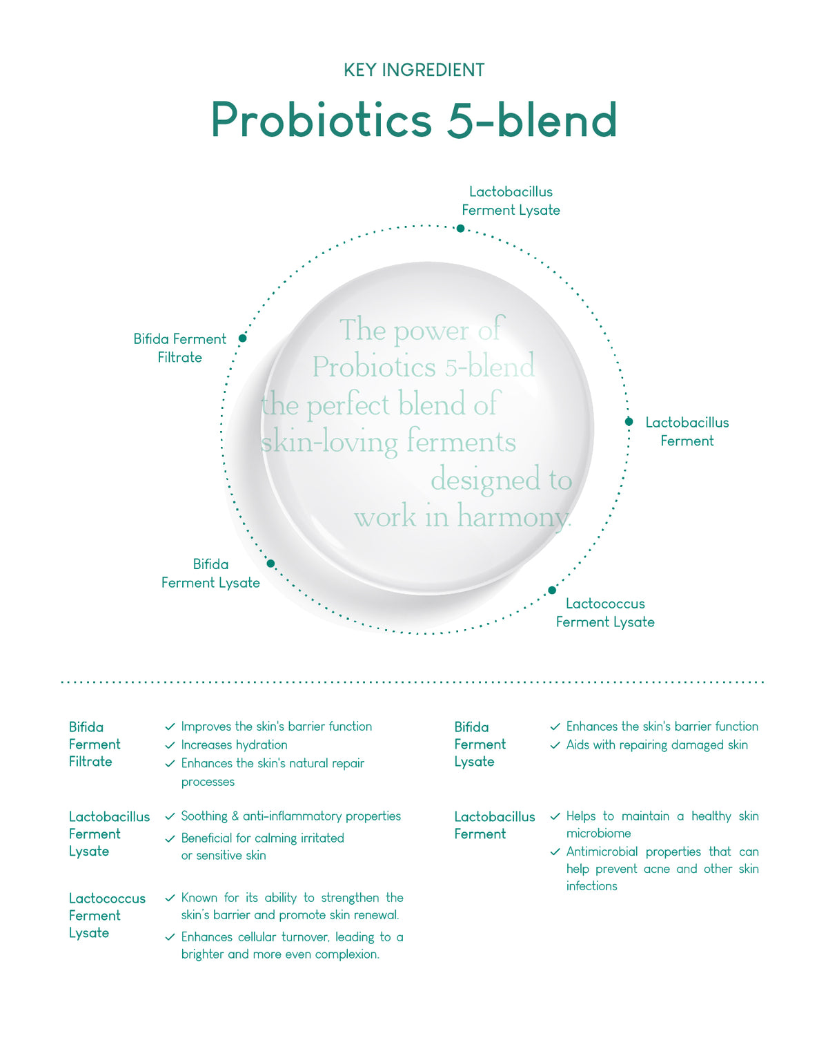 Jung Beauty Purifying Bubble Cleanser with Panthenol + Probiotics