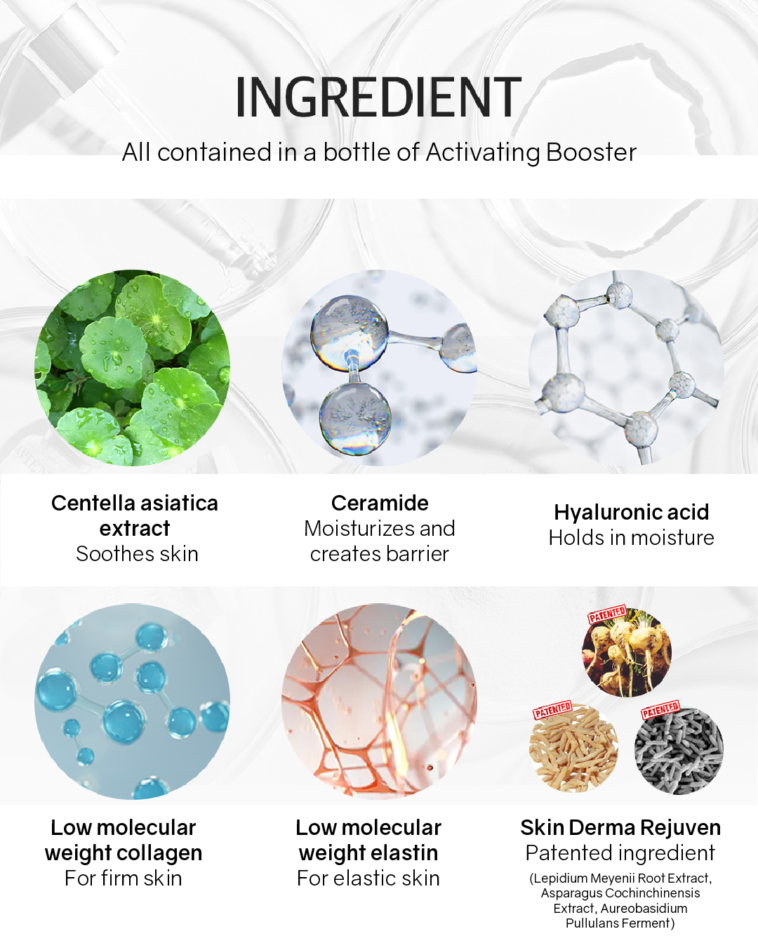 Lavien Collagen Professional Program