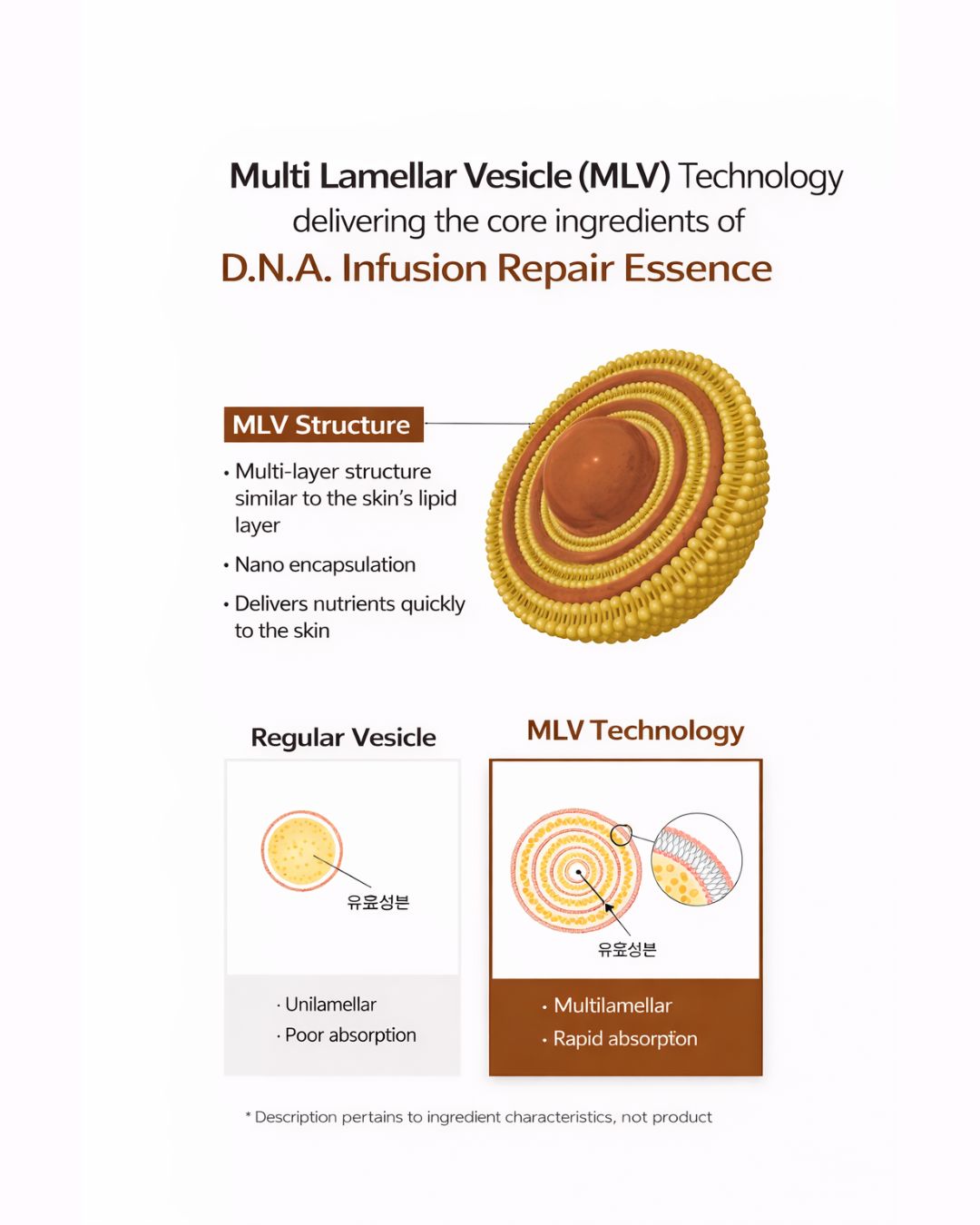 [PROMO] Lavien D.N.A. Infusion Repair Essence