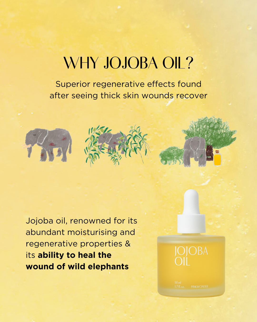 [PROMO] PINKWONDER Jojoba Oil