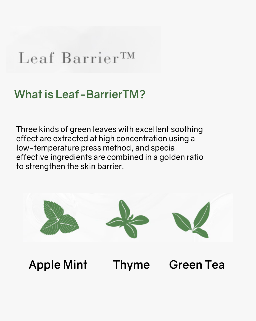 [PROMO] Botanical Therapy Stretch Cream (for stretch marks)