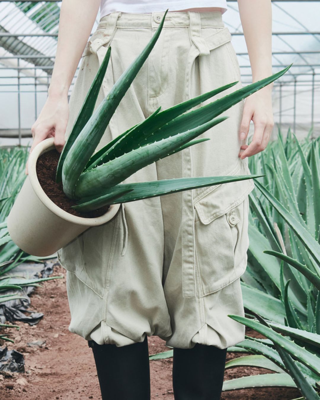 [PREORDER] glow aloe barrier support moisturizer (Dispatch Date: 17-21 Aug)