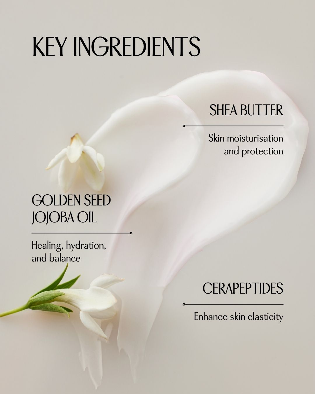[PROMO] PINKWONDER Jojoba Barrier Plus Cream