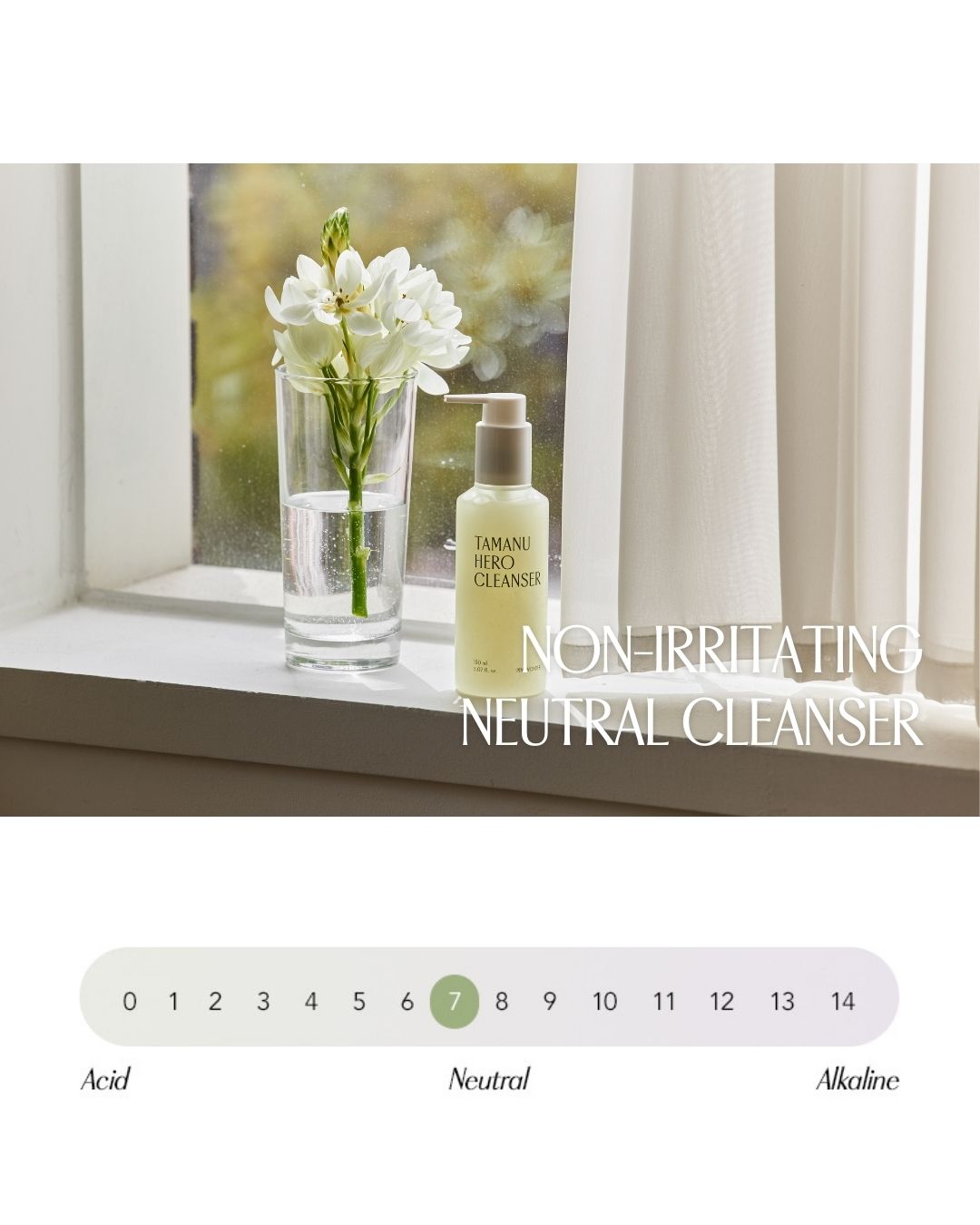 [PROMO] PINKWONDER Tamanu Hero Cleanser