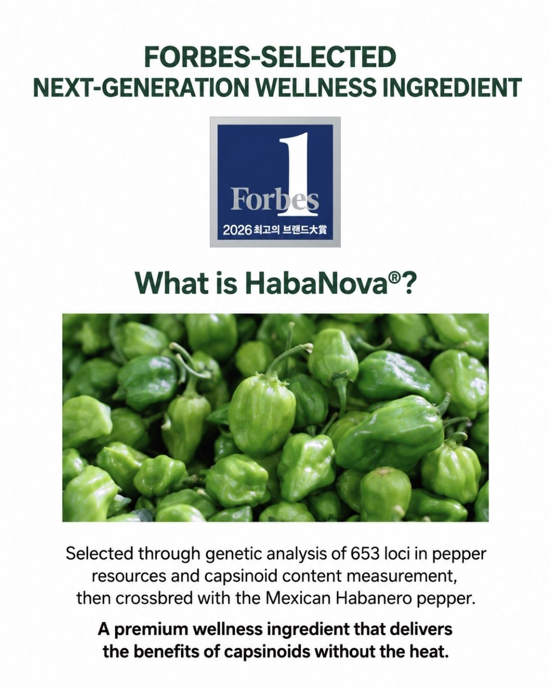 [Online Exclusive] Lavien Perfect Habanova Hot Burning Balance