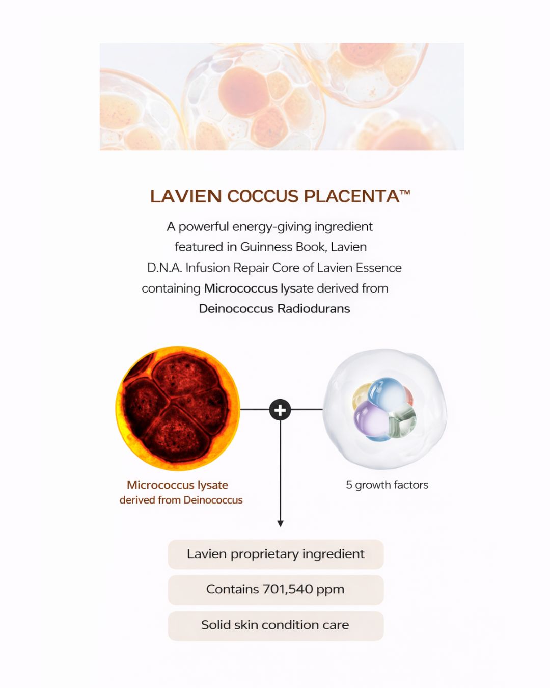 [PROMO] Lavien D.N.A. Infusion Repair Essence