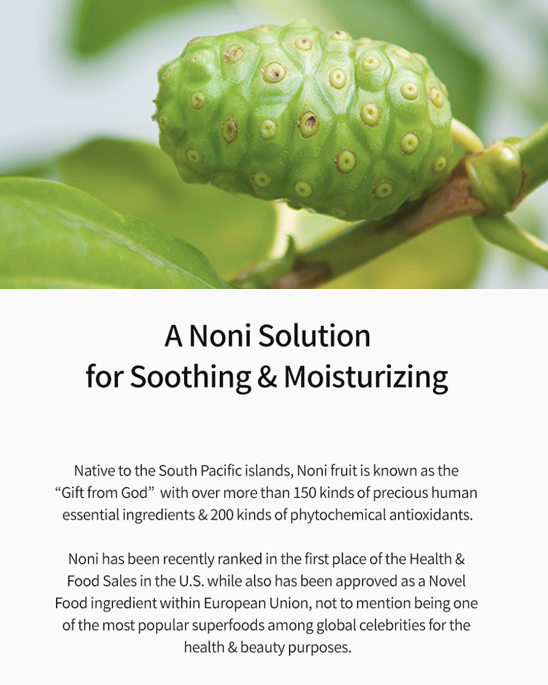 celimax The Real Noni Energy Repair Cream