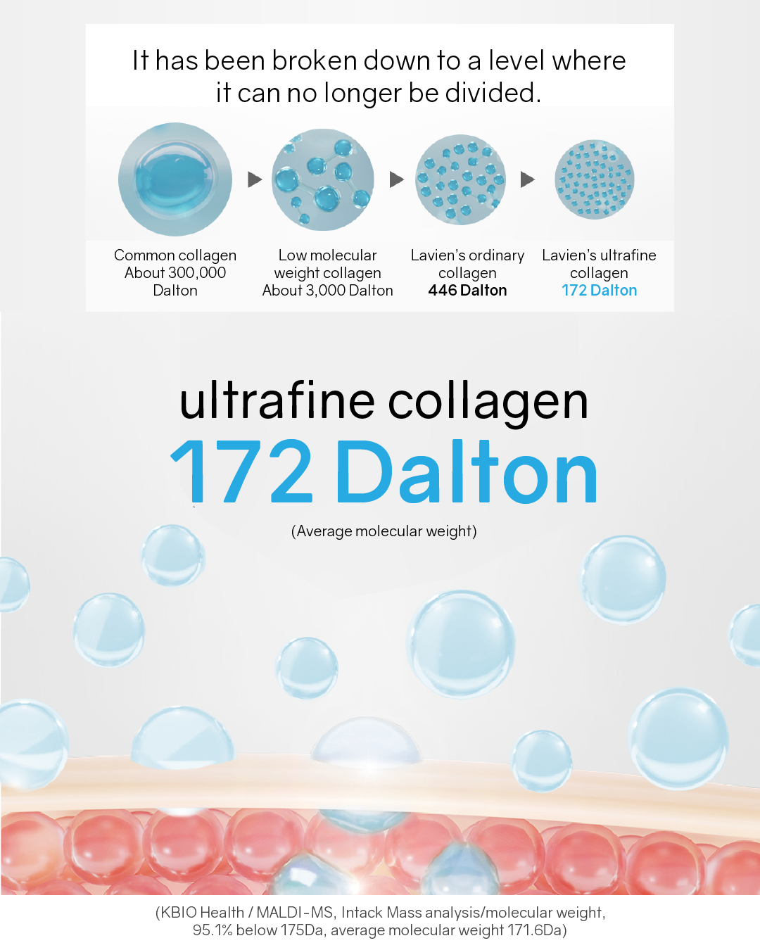 [PROMO] Lavien Collagen Professional Program